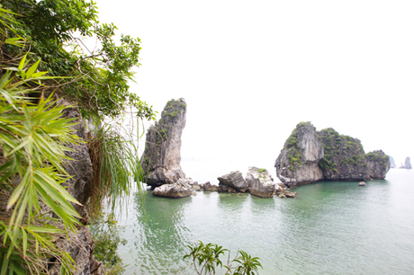 Discovering new tourism places in Ha Long bay